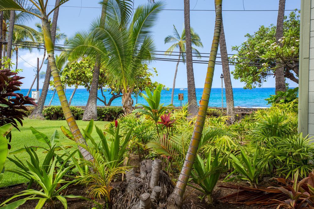 Vacation Condos In Kona Каилуа-Кона Экстерьер фото